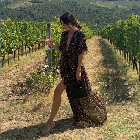 Sabina Musayev Brook Maxi Brown Dress Sheer Floral Size M - Picture 3 of 11